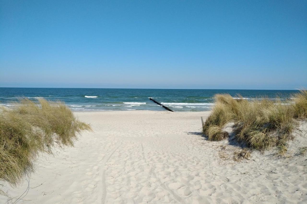 Suennenkringel 68 Appartement 1 Zingst Εξωτερικό φωτογραφία